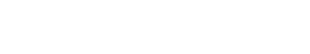 Mr Travel - Company Logo