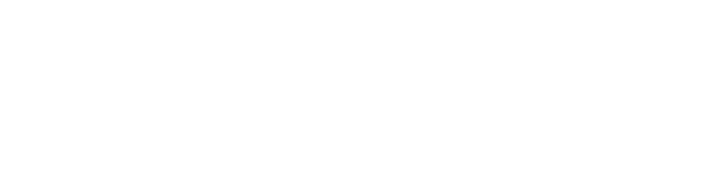 Whale Tours Logo